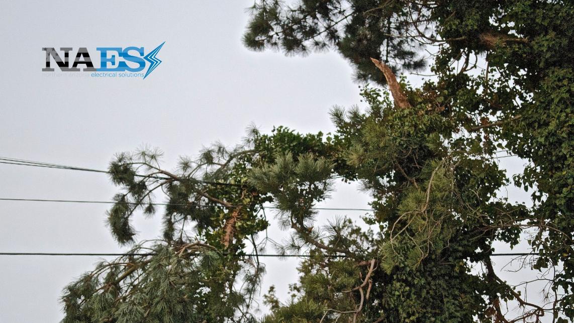 Broken tree branch hanging near overhead power lines after storm damage.